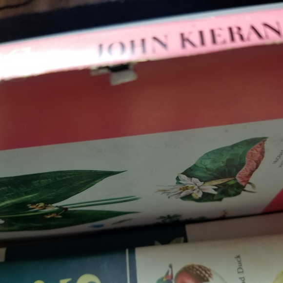 Rare 3 book set by John Kieran. An Intro to Nature. Birds, Wildflowers, Trees - Picture 8 of 11